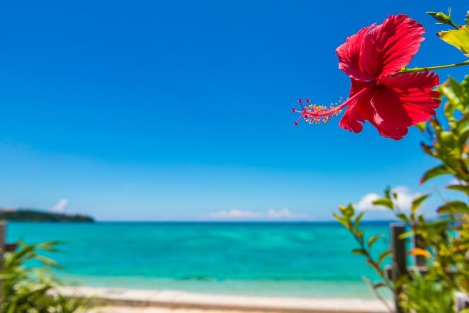 沖縄で人気のビーチや海のフォトウェディングロケーション