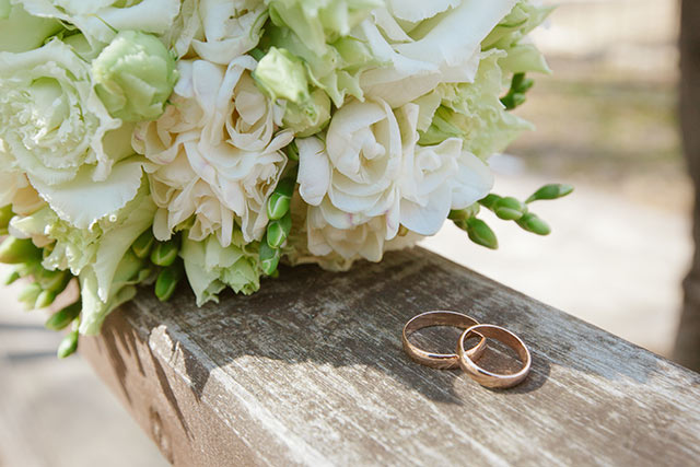 結婚式で使う花の種類 オリーブ の特徴 花言葉とは 結婚式準備 Com