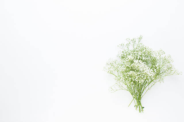 結婚式で使う花の種類《かすみ草》の特徴・花言葉とは？ | 結婚式準備.com