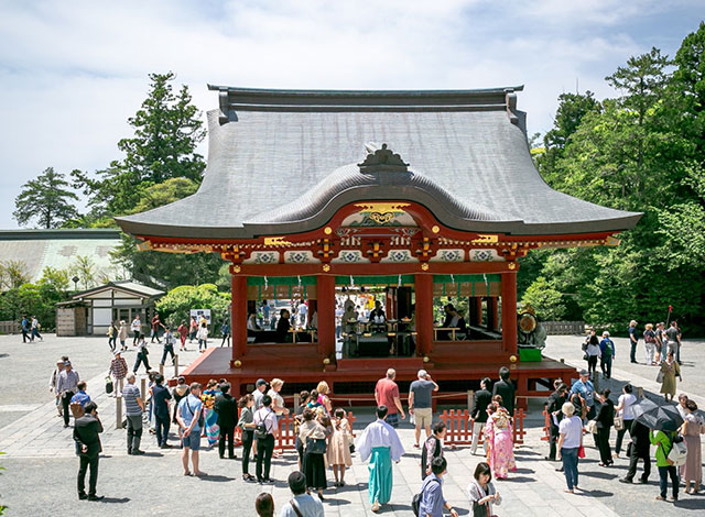 鶴岡八幡宮 結婚式 費用 結婚式 お呼ばれ 髪飾り 花 結婚式の画像