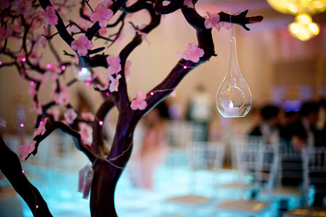 会場の一角に桜の木を飾る