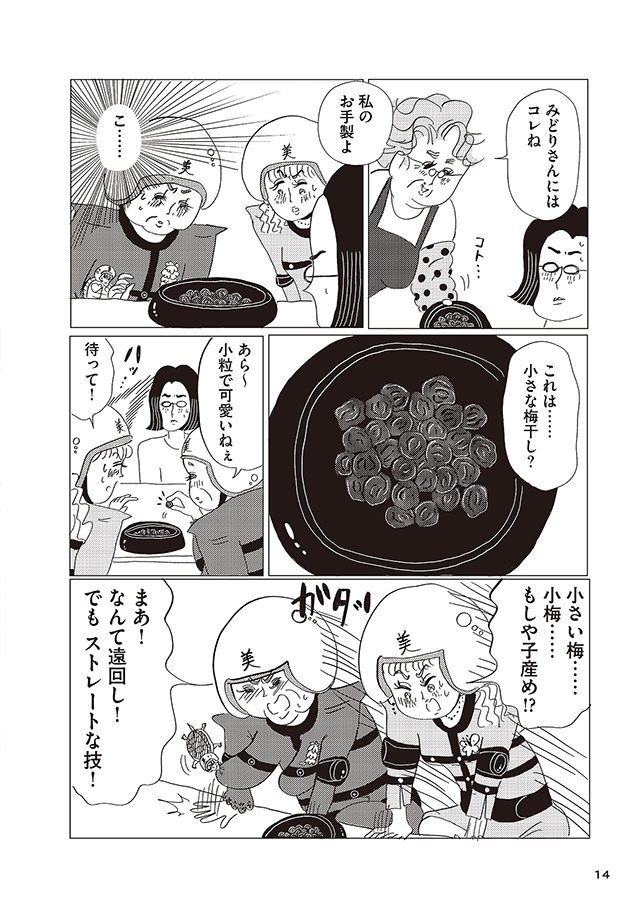 美淑女戦士 オバサンジャー