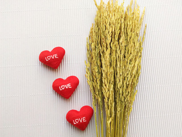<br /> <b>Warning</b>: Undefined variable $main_image in <b>/home/xs555411/wed-junbi.com/public_html/wp-content/themes/new-media-wp-theme/single-article.php</b> on line <b>70</b><br /> <br /> <b>Warning</b>: Trying to access array offset on value of type null in <b>/home/xs555411/wed-junbi.com/public_html/wp-content/themes/new-media-wp-theme/single-article.php</b> on line <b>70</b><br />