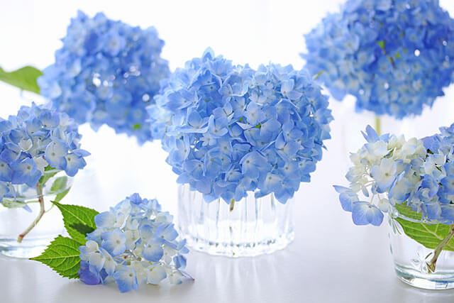 <br /> <b>Warning</b>: Undefined variable $main_image in <b>/home/xs555411/wed-junbi.com/public_html/wp-content/themes/new-media-wp-theme/single-article.php</b> on line <b>70</b><br /> <br /> <b>Warning</b>: Trying to access array offset on value of type null in <b>/home/xs555411/wed-junbi.com/public_html/wp-content/themes/new-media-wp-theme/single-article.php</b> on line <b>70</b><br />